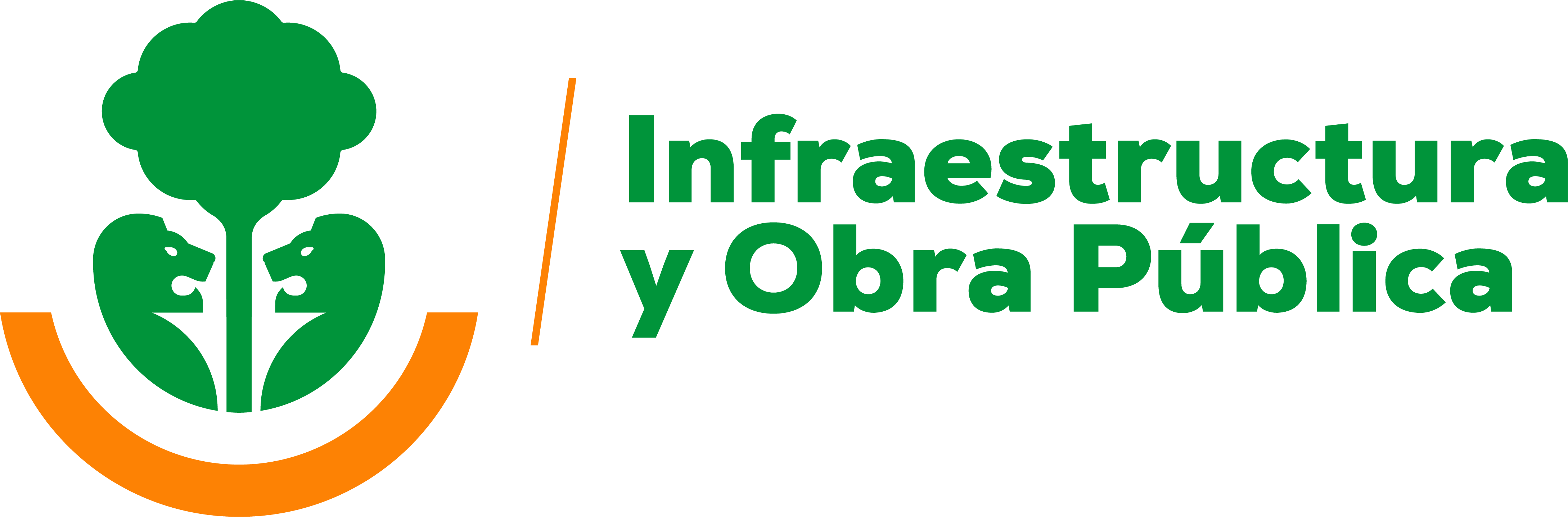 SIOP - Infraestructura y Obra Pública